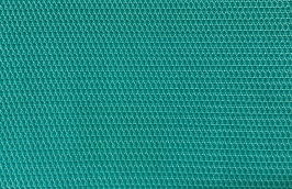 Mesh